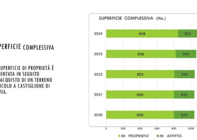 BilancioSociale2024.2