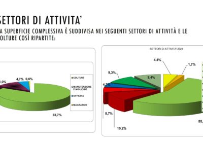 BilancioSociale2024.3